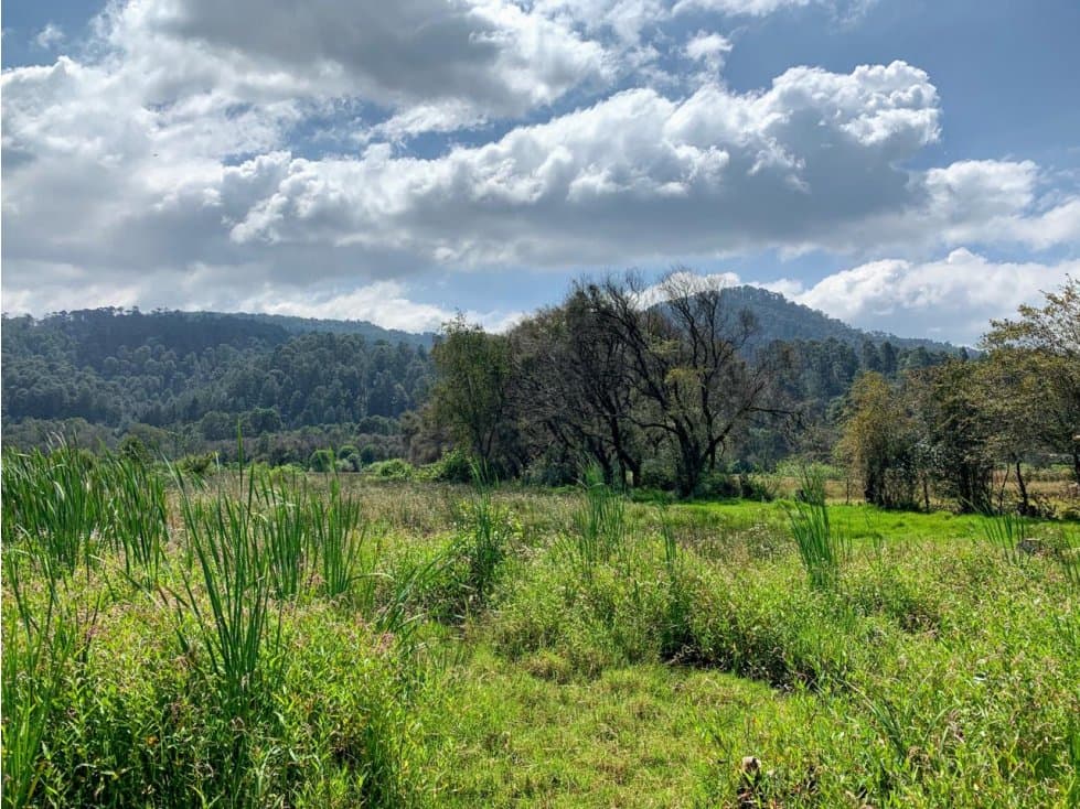 TERRENO AMANALCO POZAS — foto 5