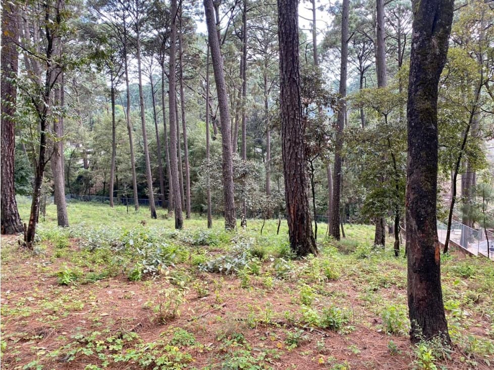 TERRENO EN VENTA AVANDARO — foto 3
