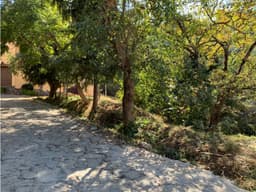TERRENO EN VENTA COPORITO