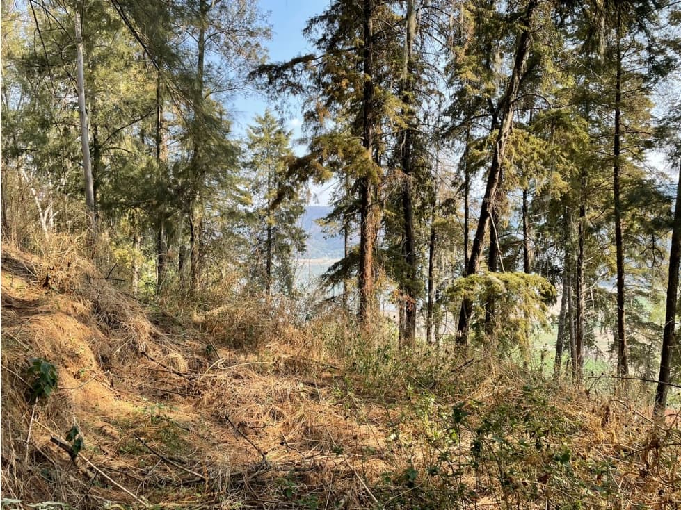TERRENO EN LA PEÑA, VALLE DE BRAVO — foto 2