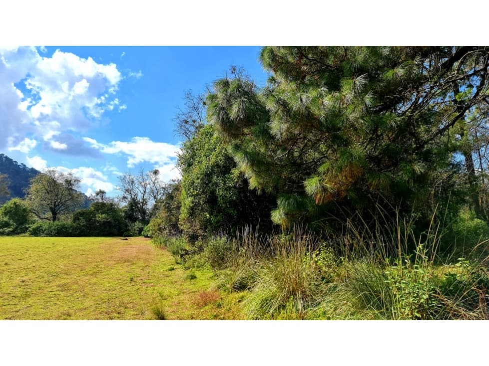 TERRENO RODEADO DE BOSQUE EN AMANALCO — foto 6