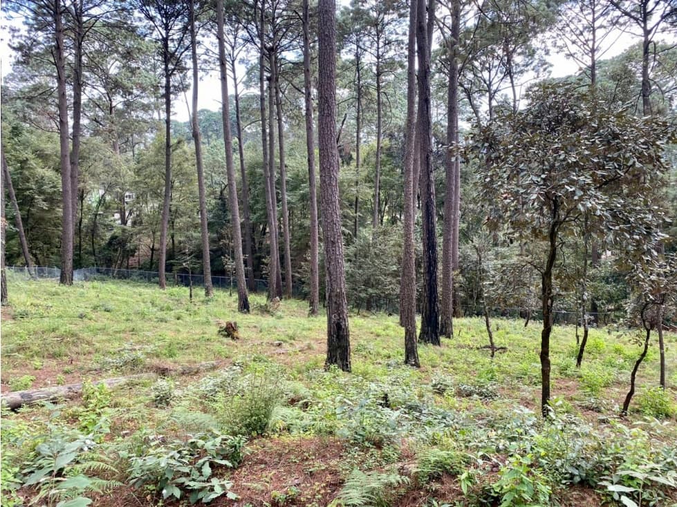 TERRENO EN VENTA AVANDARO — foto 6