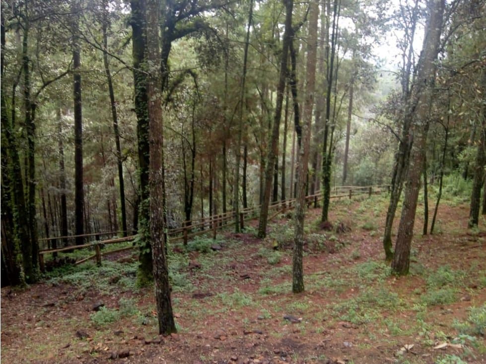 TERRENO CON RÍO LAS AGUJAS — foto 6