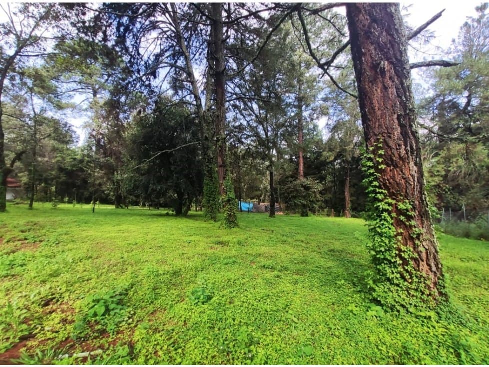 TERRENO EN ACATITLAN — foto 1