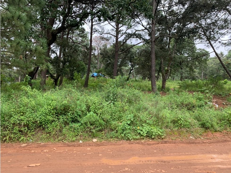 TERRENO AVANDARO, EL PEDREGAL — foto 2