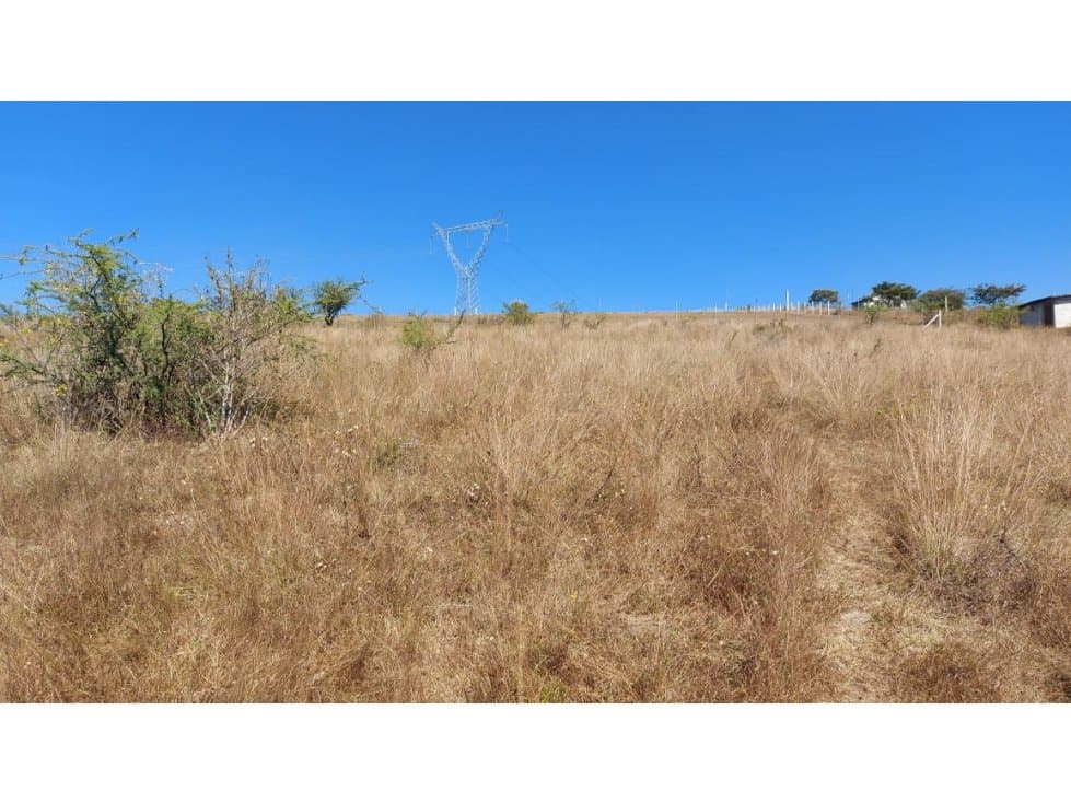 TERRENO EN VENTA EN TILOXTOC CERCA DE VALLE DE BRAVO — foto 4