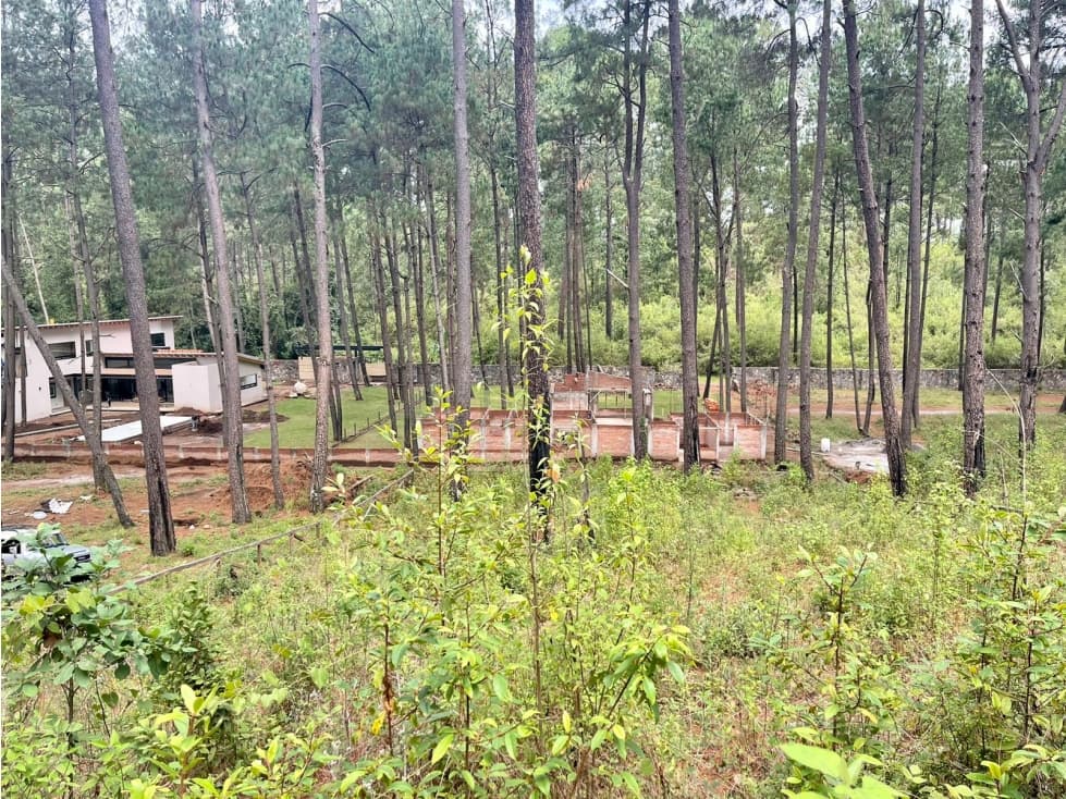 TERRENO EN VENTA CERRO GORDO — foto 6