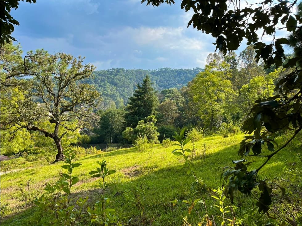 TERRENO EN VENTA EN EL CERRILLO, VALLE DE BRAVO — foto 3
