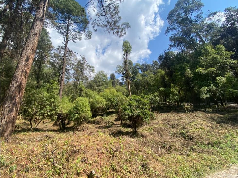 TERRENO RANCHO SAN SIMÓN, LOTE 33 — foto 5