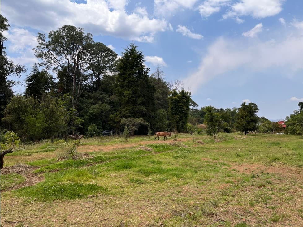 TERRENO EN VENTA, VALLE DE BRAVO, MESA DE JAIMES — foto 4