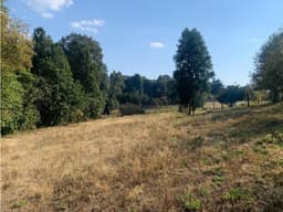 TERRENO EN VENTA EN EL CAMPO, SAN SIMÓN, VALLE DE BRAVO