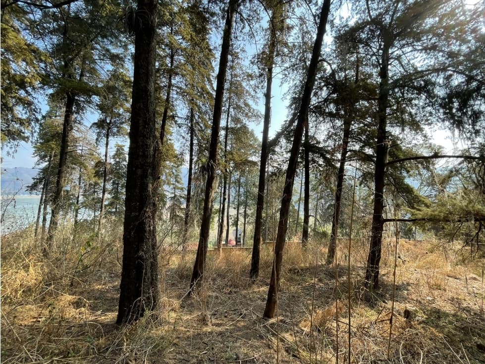 TERRENO EN LA PEÑA, VALLE DE BRAVO — foto 3