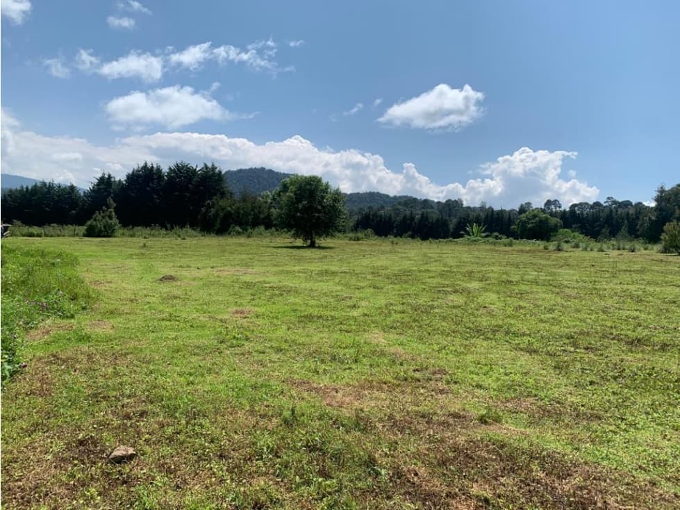 PLANICIES LA CUADRILLA — foto 3