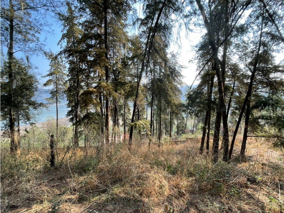 TERRENO EN LA PEÑA, VALLE DE BRAVO — foto 6