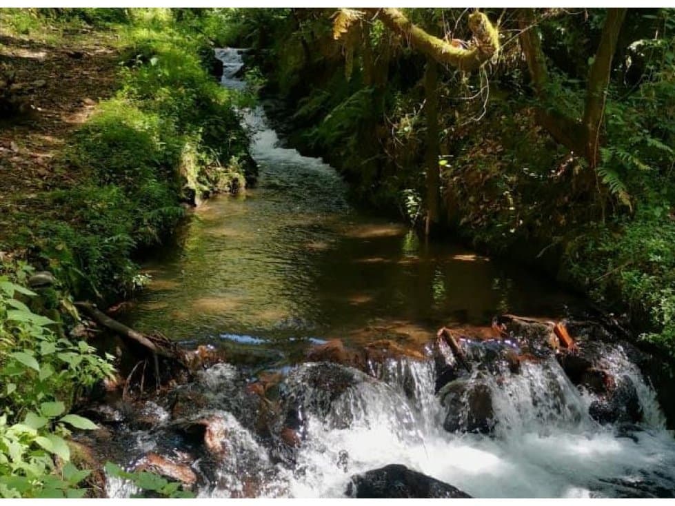 TERRENO CON RÍO LAS AGUJAS — foto 2