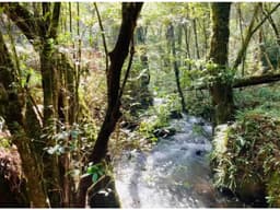 TERRENO EN VENTA EN VALLE DE BRAVO, CERRO GORDO