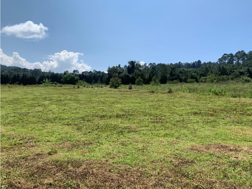 PLANICIES LA CUADRILLA — foto 4