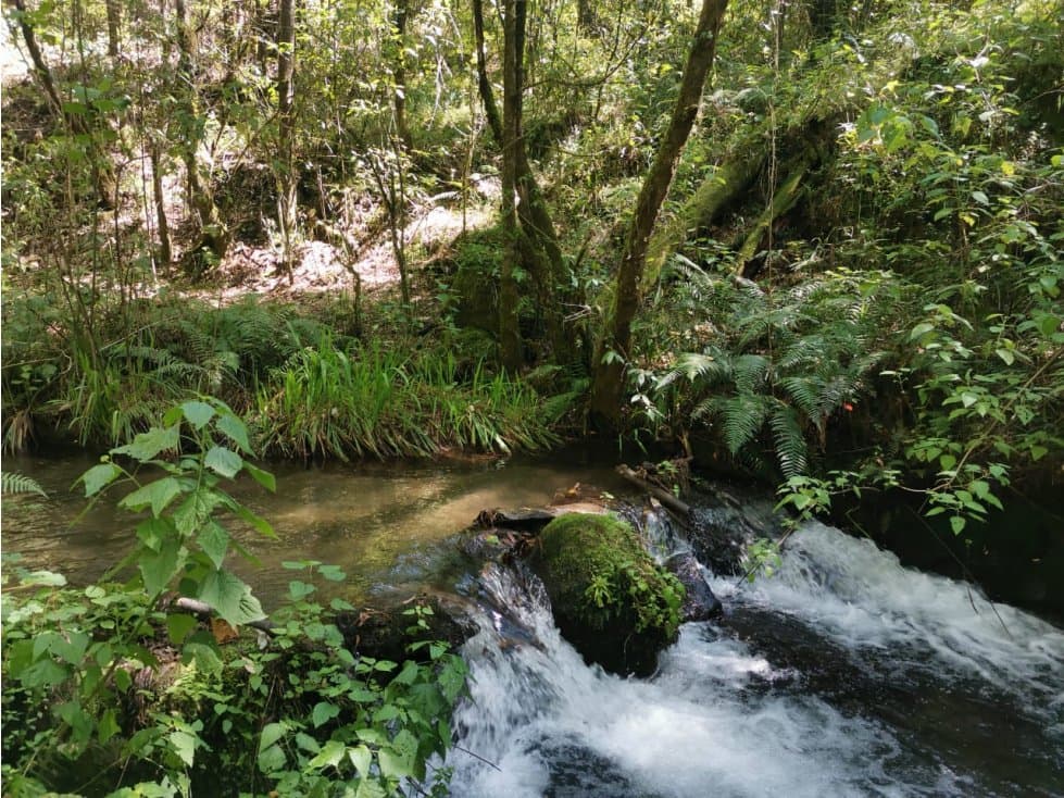 TERRENO CON RÍO LAS AGUJAS — foto 1