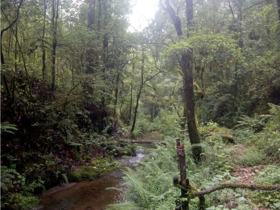 TERRENO CON RÍO LAS AGUJAS — foto 4