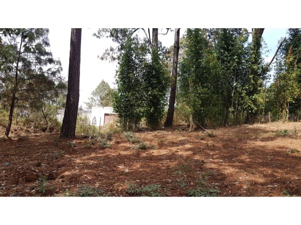 TERRENO CASAS VIEJAS — foto 2