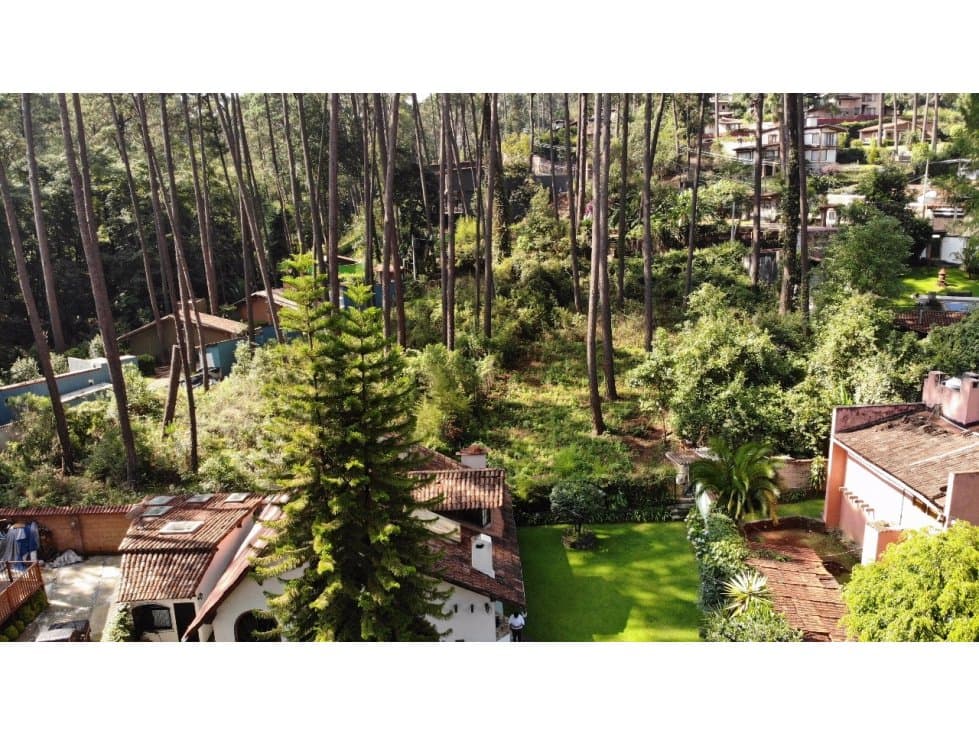 TERRENO FONTANA BELLA — foto 4