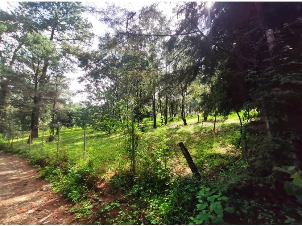 TERRENO EN ACATITLAN — foto 4