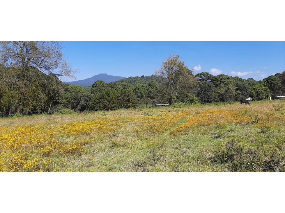 TERRENO EN RENTA LAS JOYAS — foto 2
