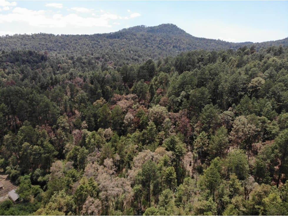RANCHO EL CARRIZAL — foto 3