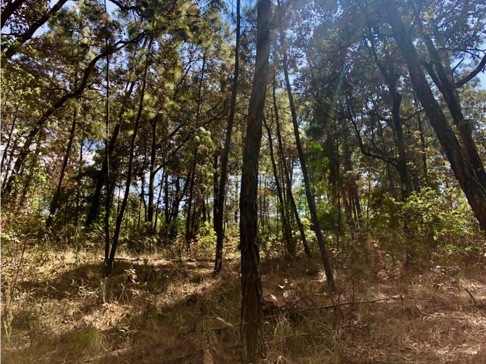 TERRENO EN VENTA AVANDARO (Circuito Avándaro) — foto 4