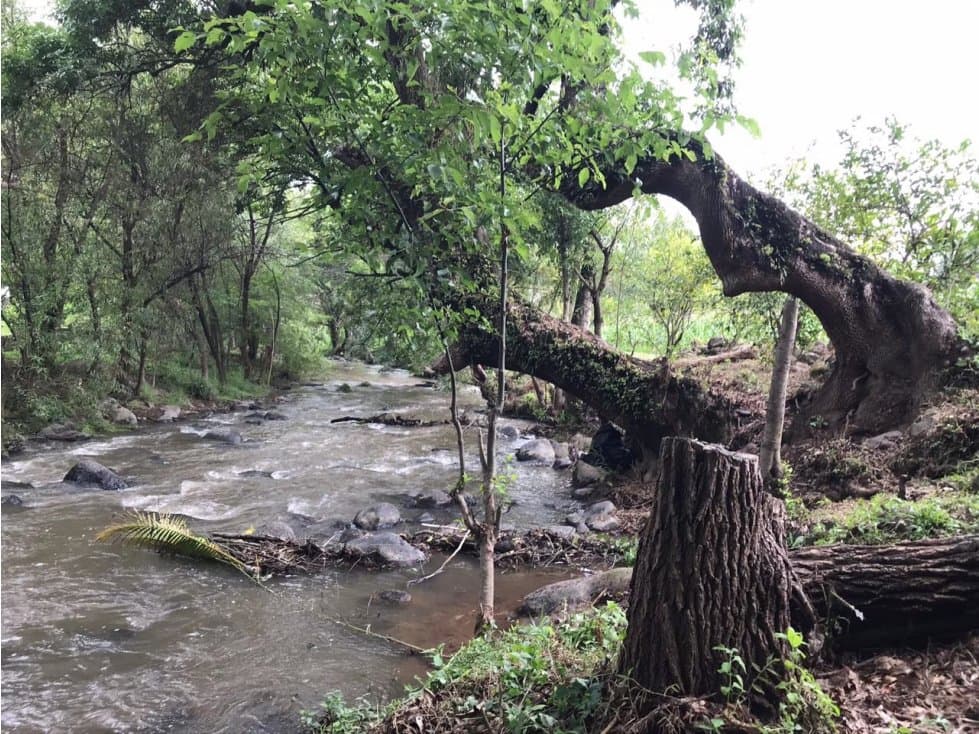 TERRENO EL RIÓ TILOXTOC I — foto 2