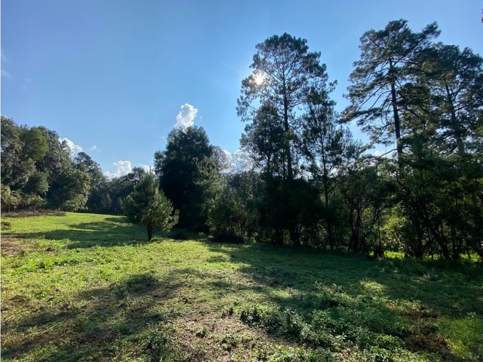 TERRENO SAN SIMON LOTE 1 — foto 4