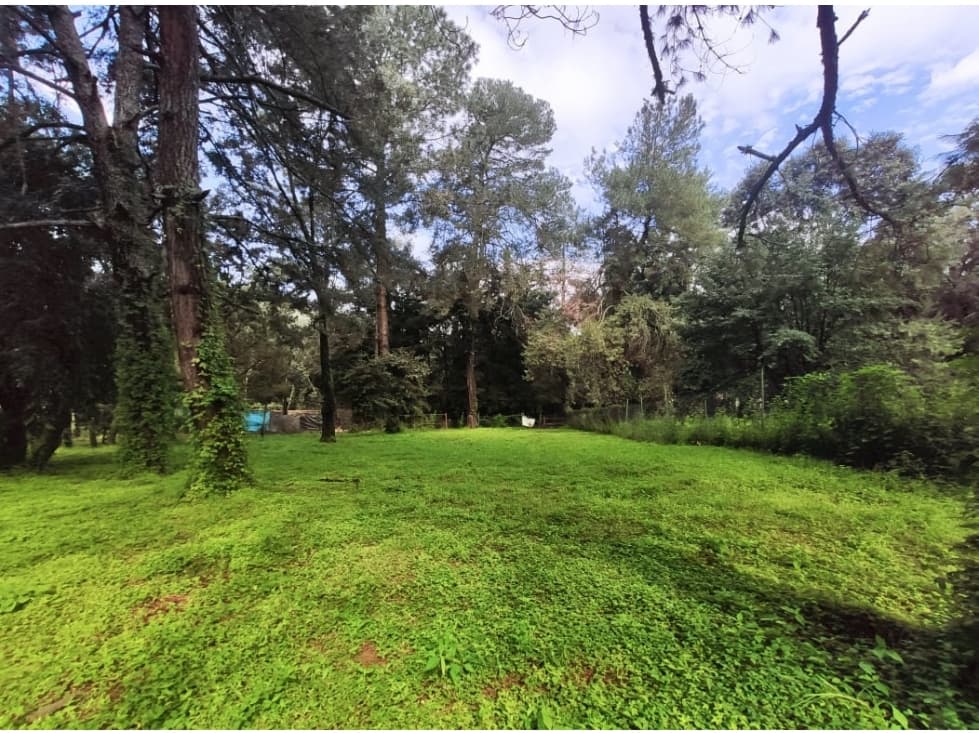 TERRENO EN ACATITLAN — foto 5