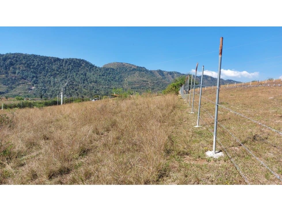 TERRENO EN VENTA EN TILOXTOC CERCA DE VALLE DE BRAVO — foto 3