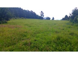 TERRENO MESA RICA LOTE 2