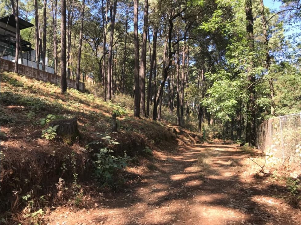 VEGA DE LA MONTAÑA 1 — foto 4