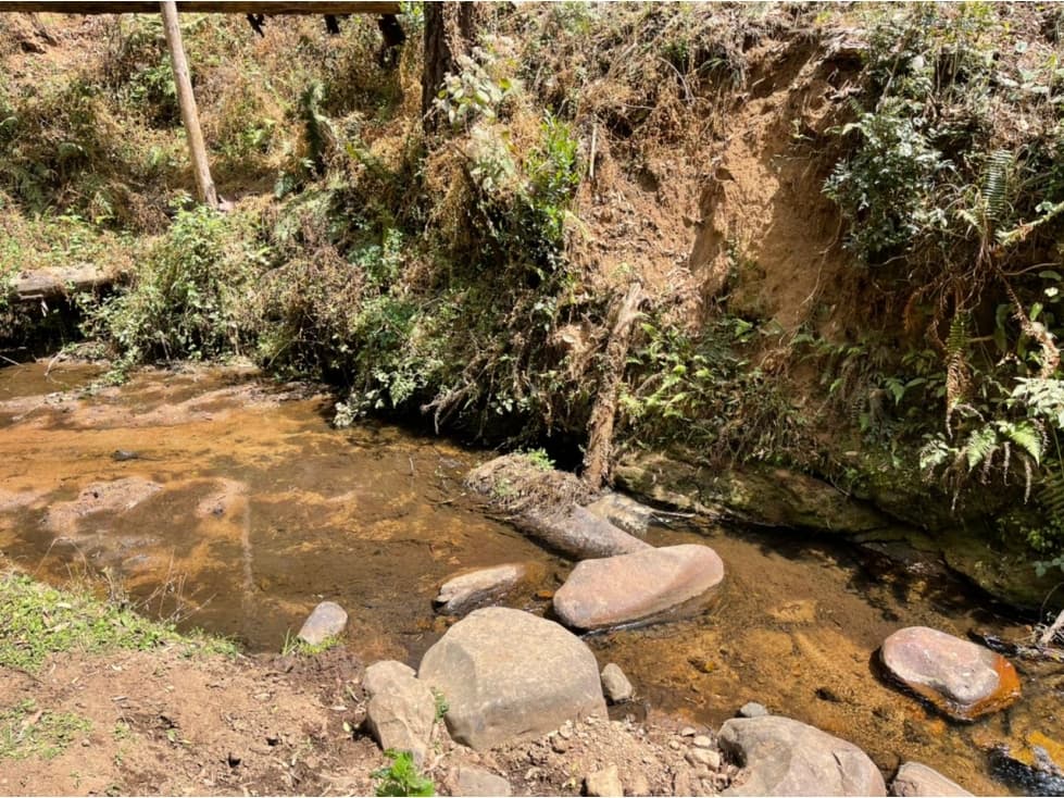 RANCHO EL CARRIZAL — foto 4