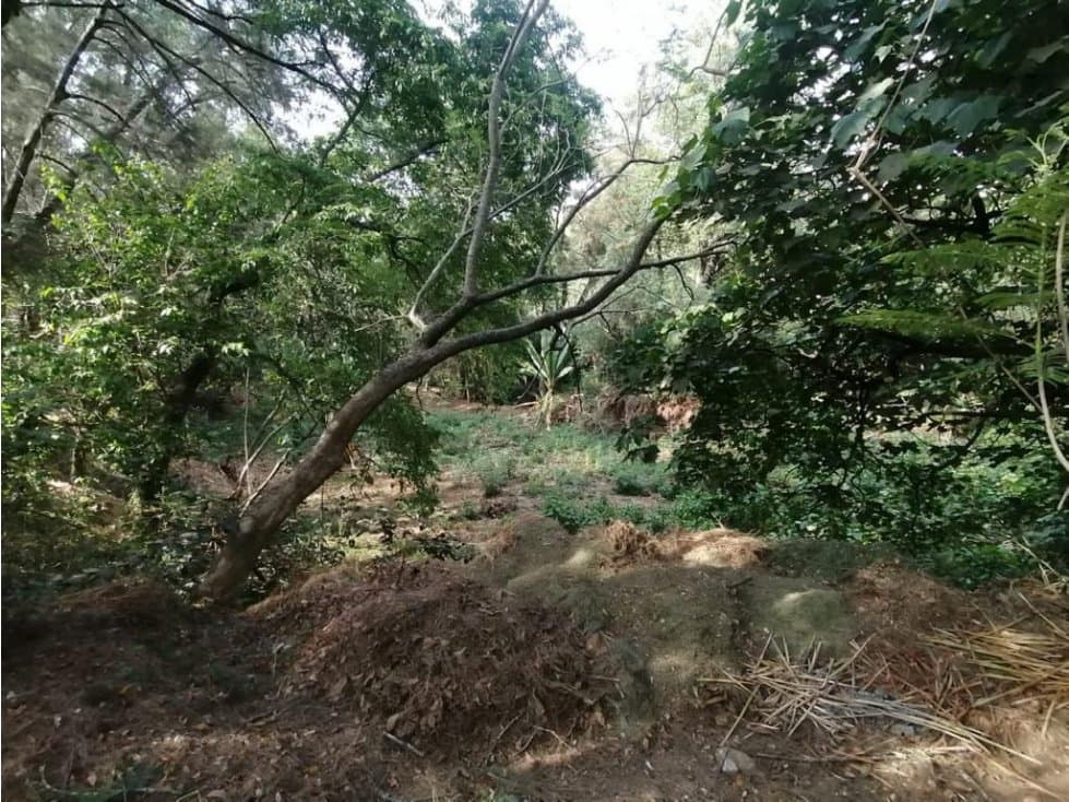 TERRENO EL SALTO, LOTE 27 — foto 5
