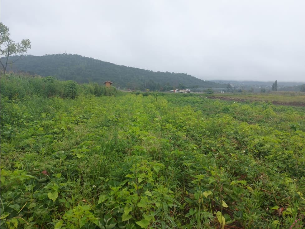 TERRENO EN VENTA TILOXTOC, VALLE DE BRAVO — foto 6