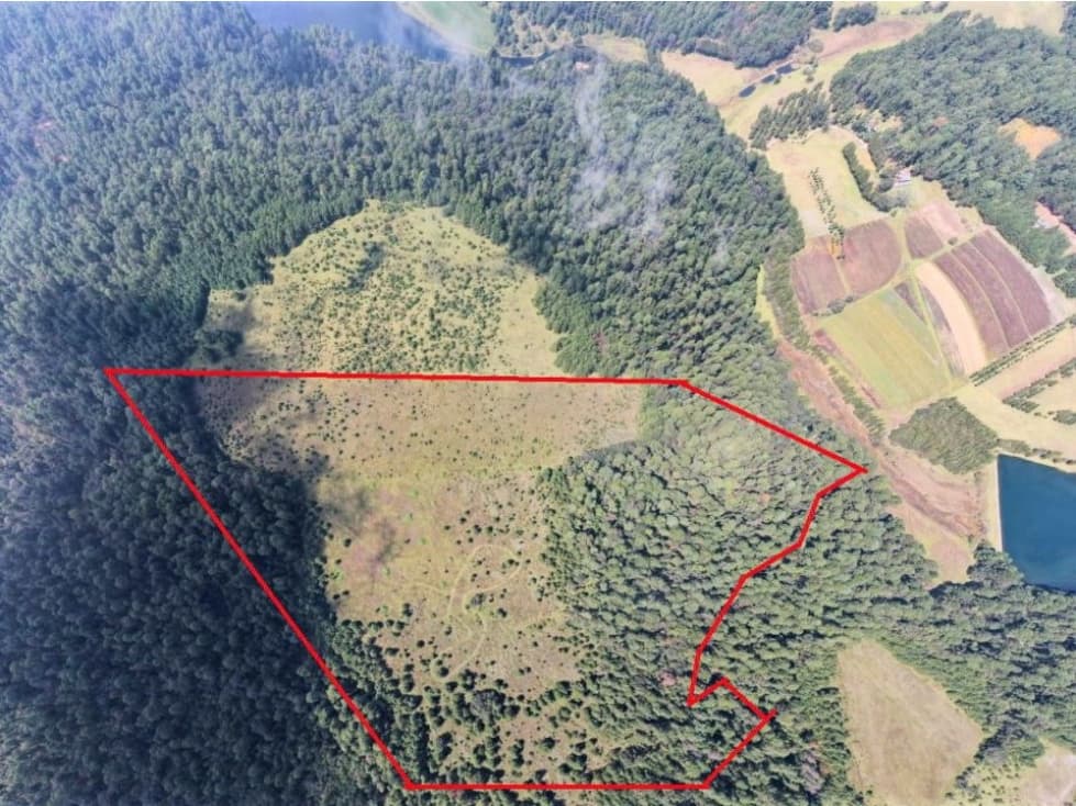 TERRENO EN VENTA EN VALLE DE BRAVO, PINAL DEL MARQUESADO — foto 4