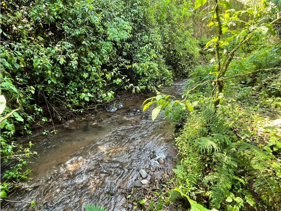 TERRENO RANCHO AVANDARO — foto 3