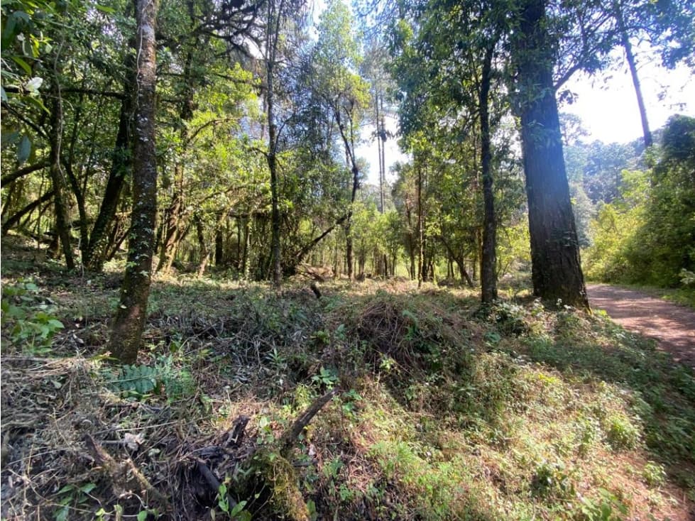 TERRENO RANCHO SAN SIMÓN, LOTE 33 — foto 1