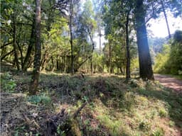 TERRENO RANCHO SAN SIMÓN, LOTE 33