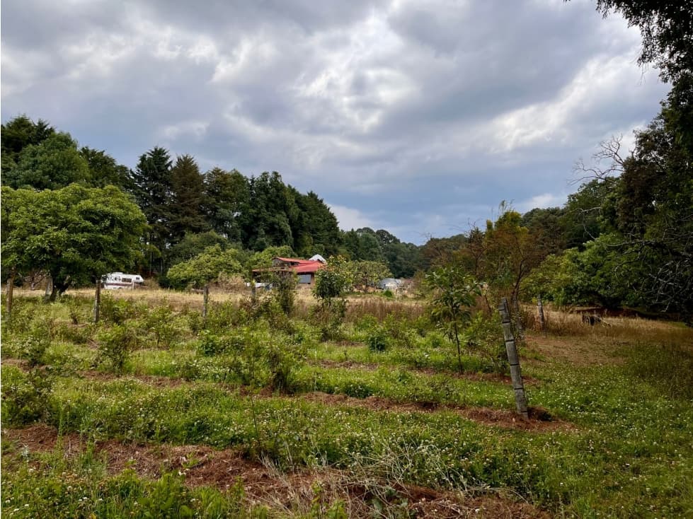 TERRENO EN VENTA, VALLE DE BRAVO, MESA DE JAIMES — foto 5