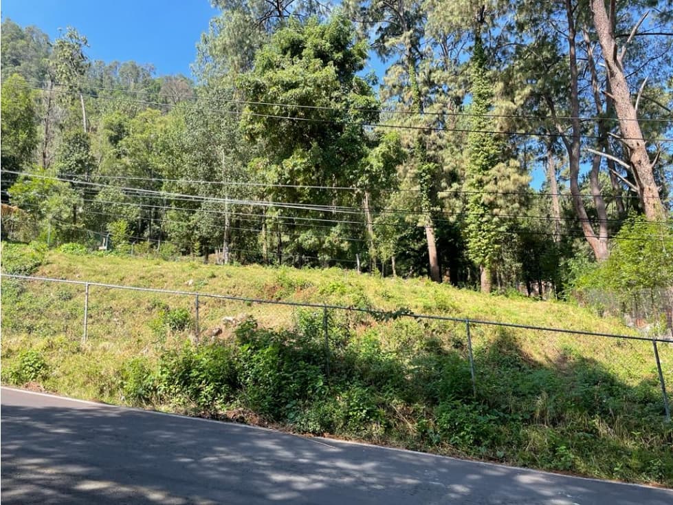 TERRENO BOSCOSO EN CERRO GORDO — foto 4