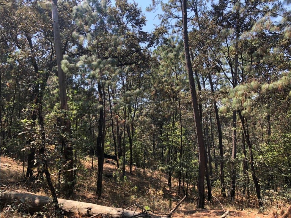 TERRENO EN VENTA AVANDARO (Circuito Avándaro) — foto 5