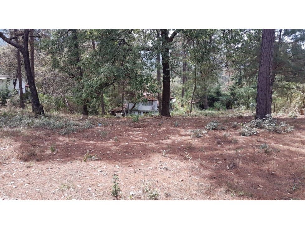 TERRENO CASAS VIEJAS — foto 4