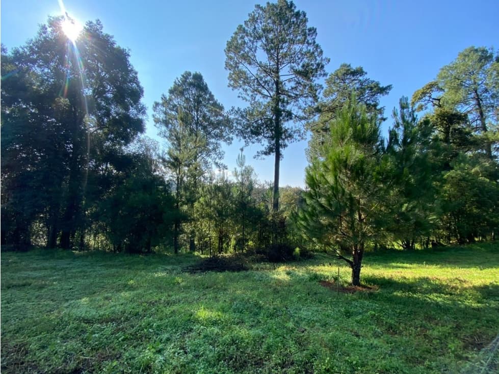 TERRENO SAN SIMON LOTE 1 — foto 5