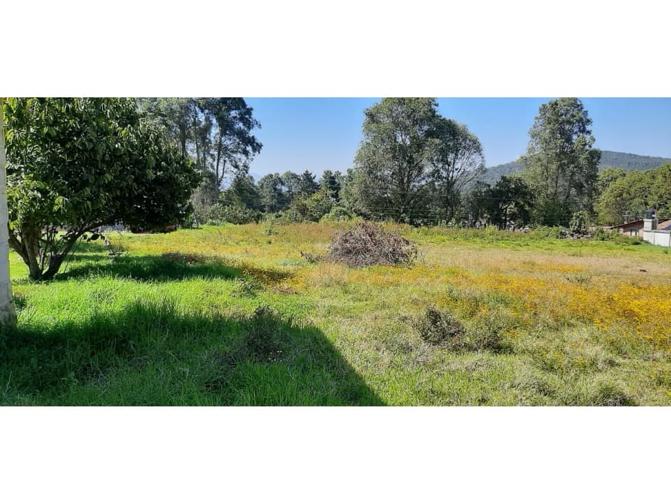 TERRENO EN RENTA LAS JOYAS — foto 5