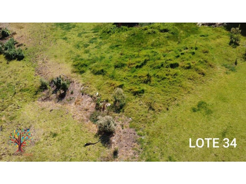 TERRENO EL SALTO, LOTE 34 — foto 5