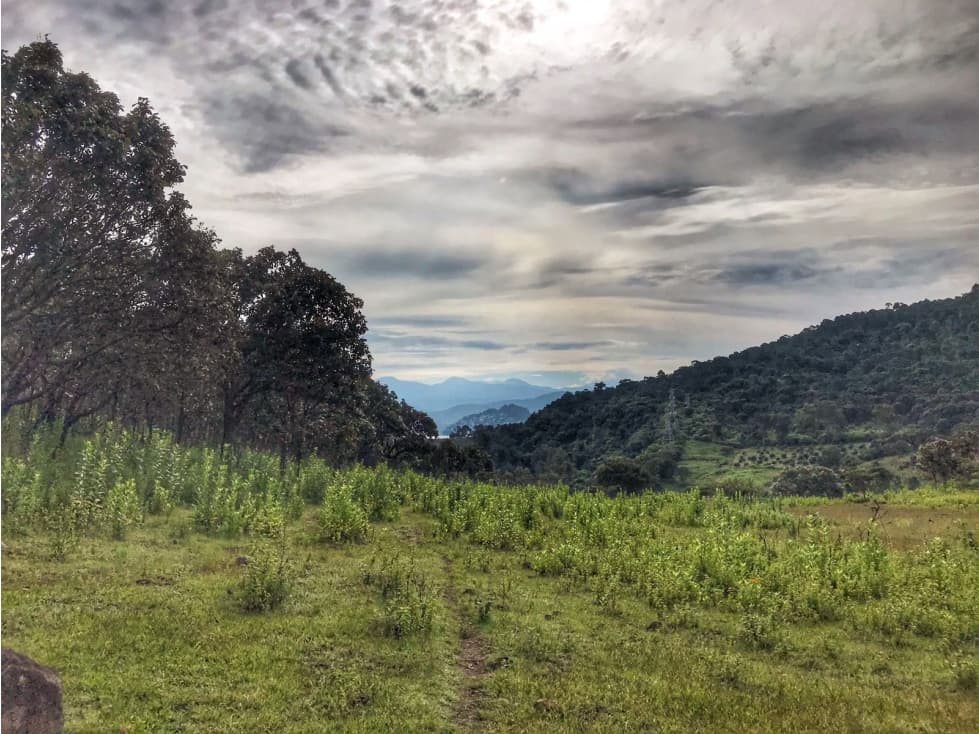 TERRENO EN VENTA, LA BOQUILLA, VALLE DE BRAVO — foto 1